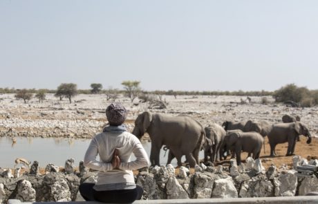 Yoga in Etosha, Okaukuejo WasserlochWasserloch mit Elefanten