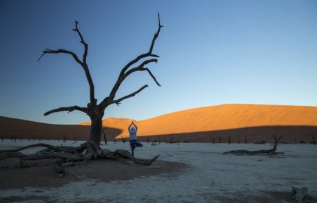 Ygoa im Dead Vlei unter den höchsten Dünen der Welt