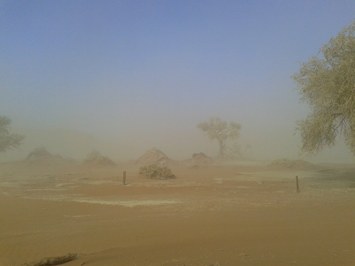 Sossusvlei bei starkem Ostwind_20170528_093144 Tote Bäume im Dead Vlei