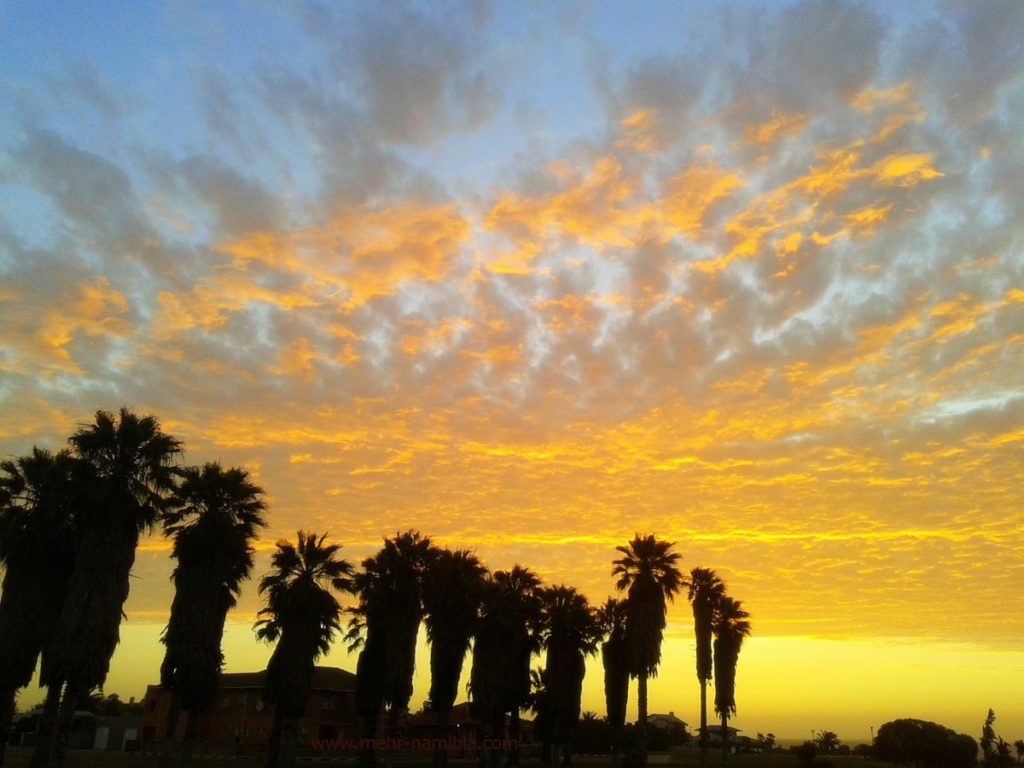 Sonnenuntergang mit Palmen in Swakopmund Namibia Sonnenuntergang mit Palmen in Swakopmund Namibia