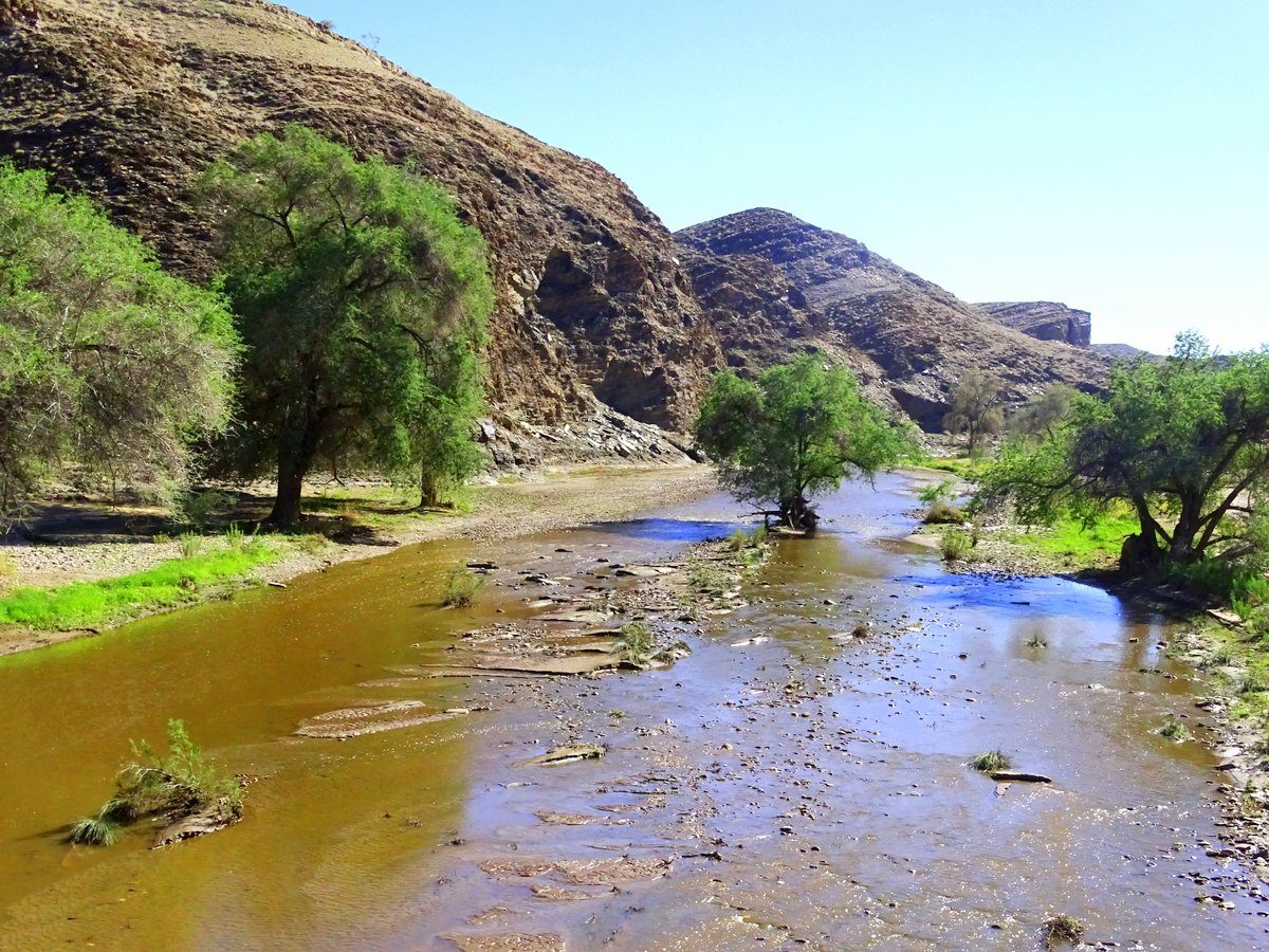 Kuiseb_Trockener Fluss in Namibia mit Wasser_DSC00915 Der Kuiseb - ein sonst trockener Fluss in Namibia mit Wasser