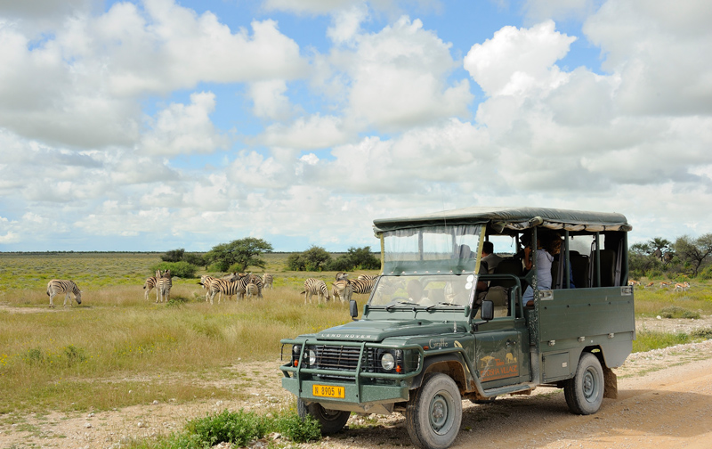 Yoga Reise - Pirschfahrt im Etosha Nationalpark