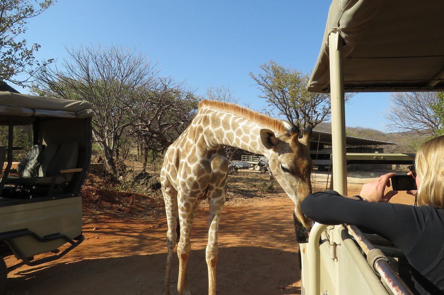 Besuch bei einer Wildtierauffangstation in Namibia