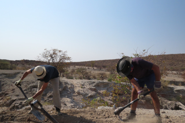 Volunteering for Namibias desert elephants: building week