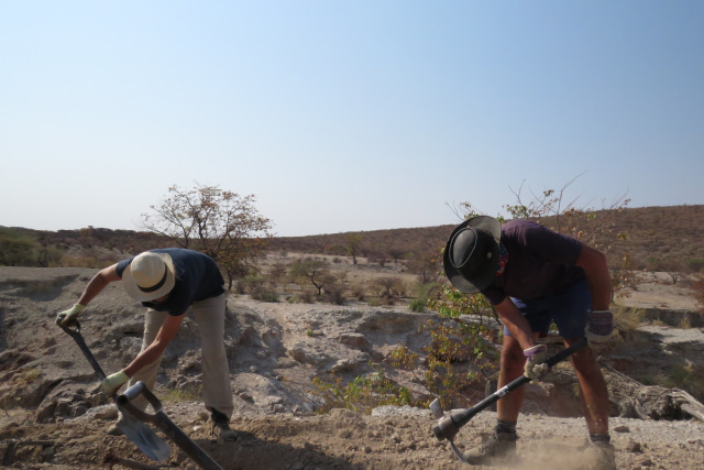 Volunteering for Namibias desert elephants: building week Volunteering for Namibias desert elephants: building week