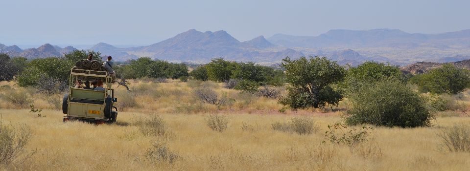 On desert elephant patrol in Namibia