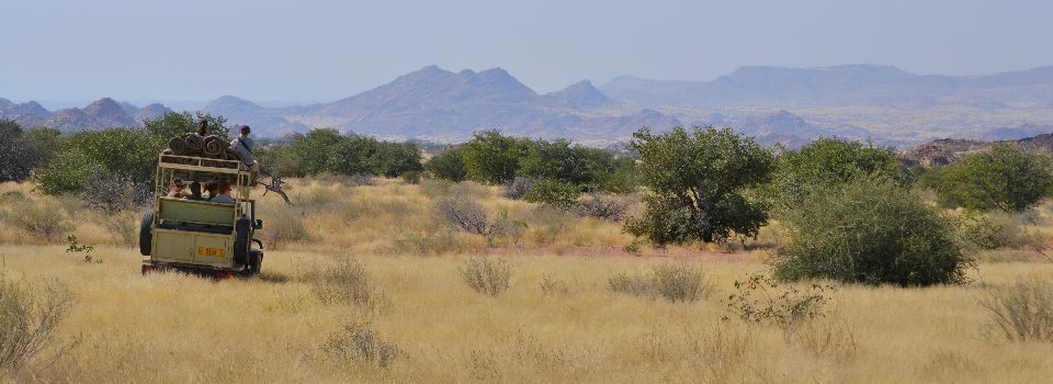 On desert elephant patrol in Namibia Im Geländefahrzeug auf Wüstenelefanten-Patrouille