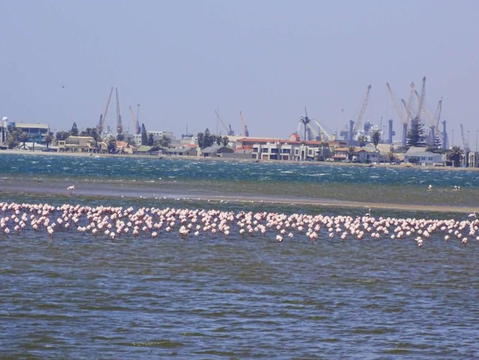 Hafenkräne und Flamingos in Walvis Bay