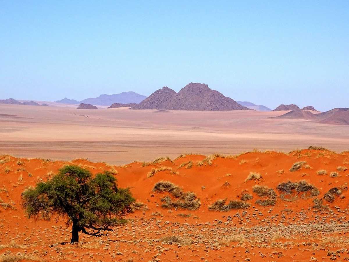 NamibRand Nature Reserve Dünen Savanne mit Berg