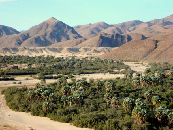 Purros am grünen Band des Hoanib Trockenfluss