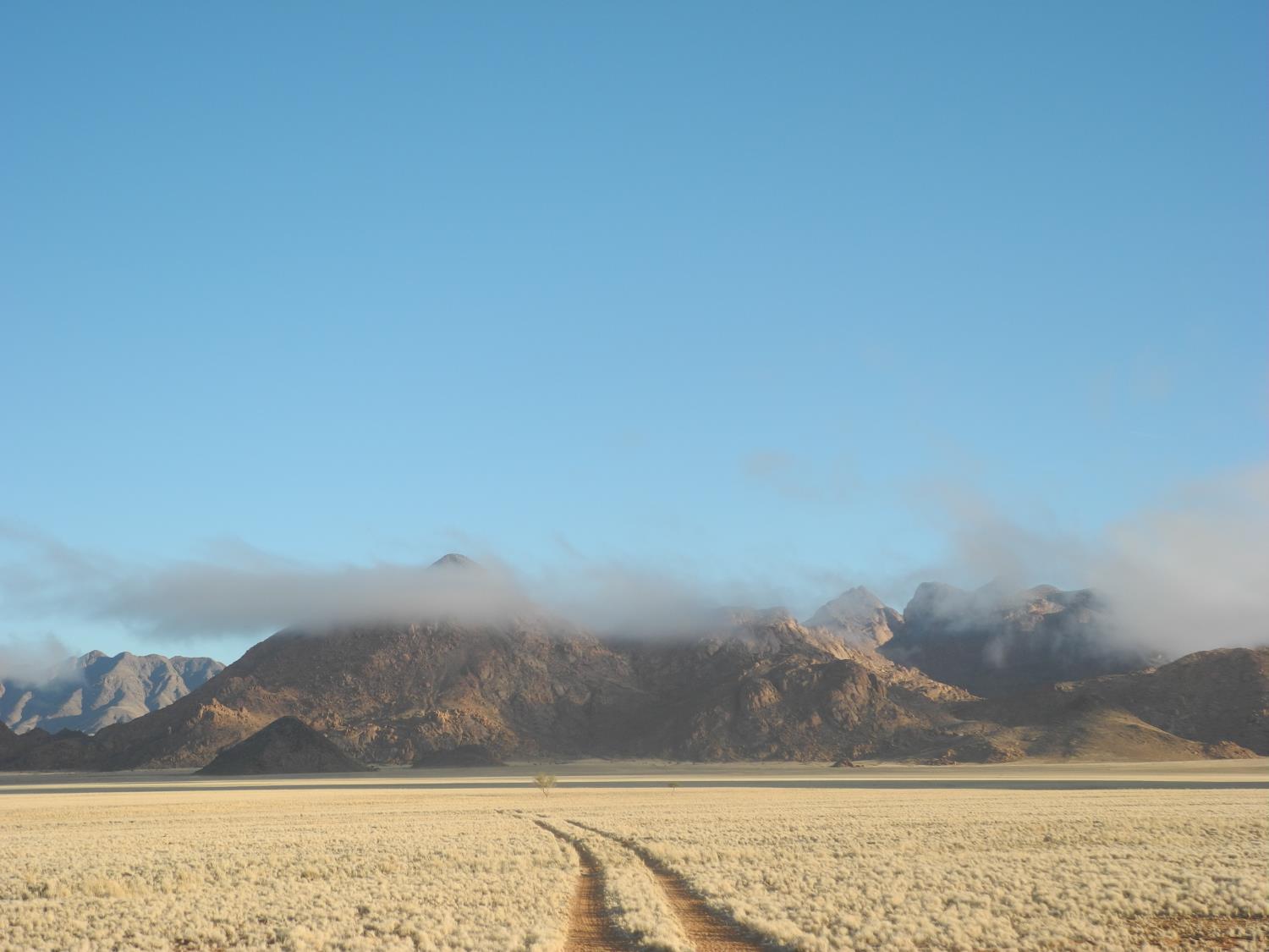 Strahlender Wintertag mit Nebel in der Namib