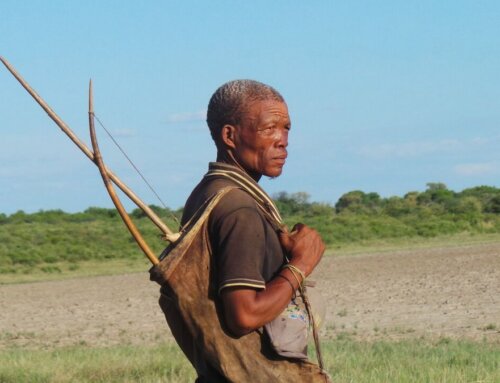 Usprüngliches Namibia: Kultur der San und Erlebnis Buschmannland