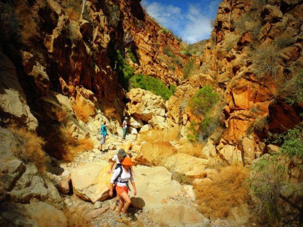 Wandern in den Schluchten des Naukluft Massivs