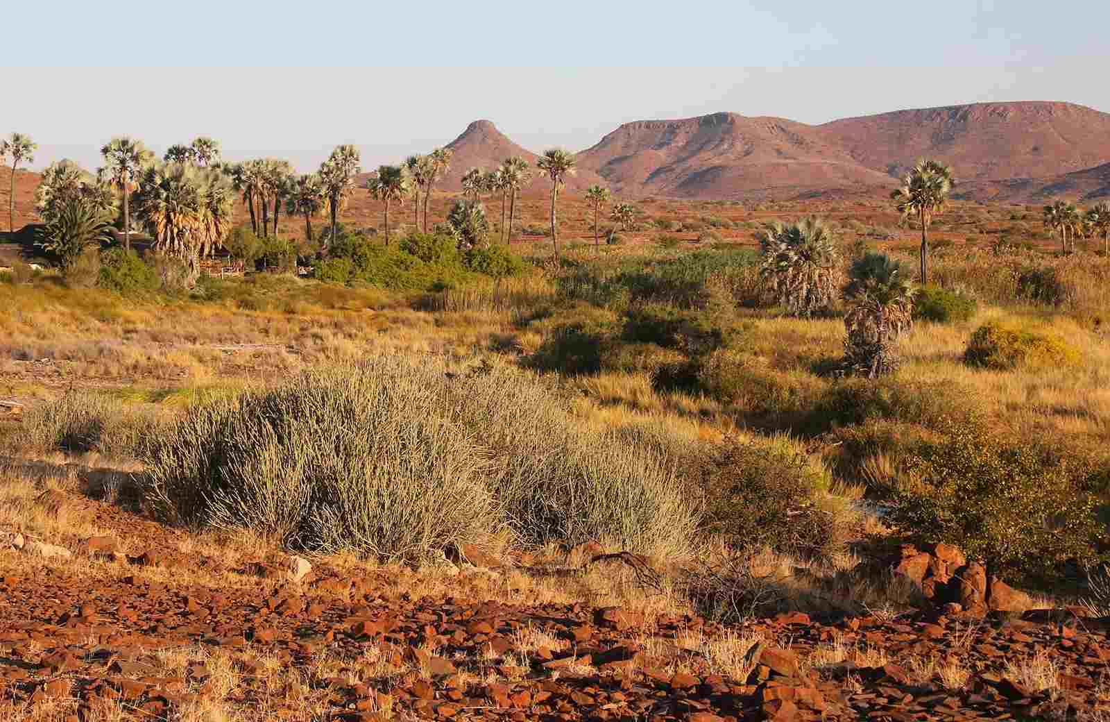 Palmwag im Damaraland Palmwag im Damaraland