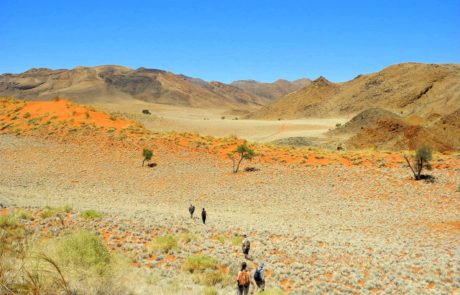 Wandern in der den Dünen und Bergen der Namib