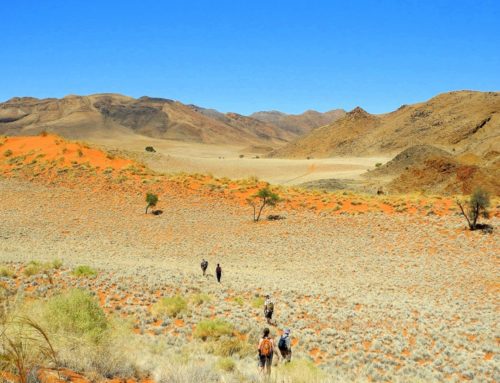 Wandern in Namibia – Genuss-Wandern in der Namib Wüste