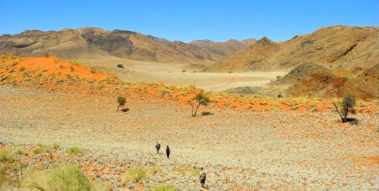 Wandern in der den Dünen und Bergen der Namib