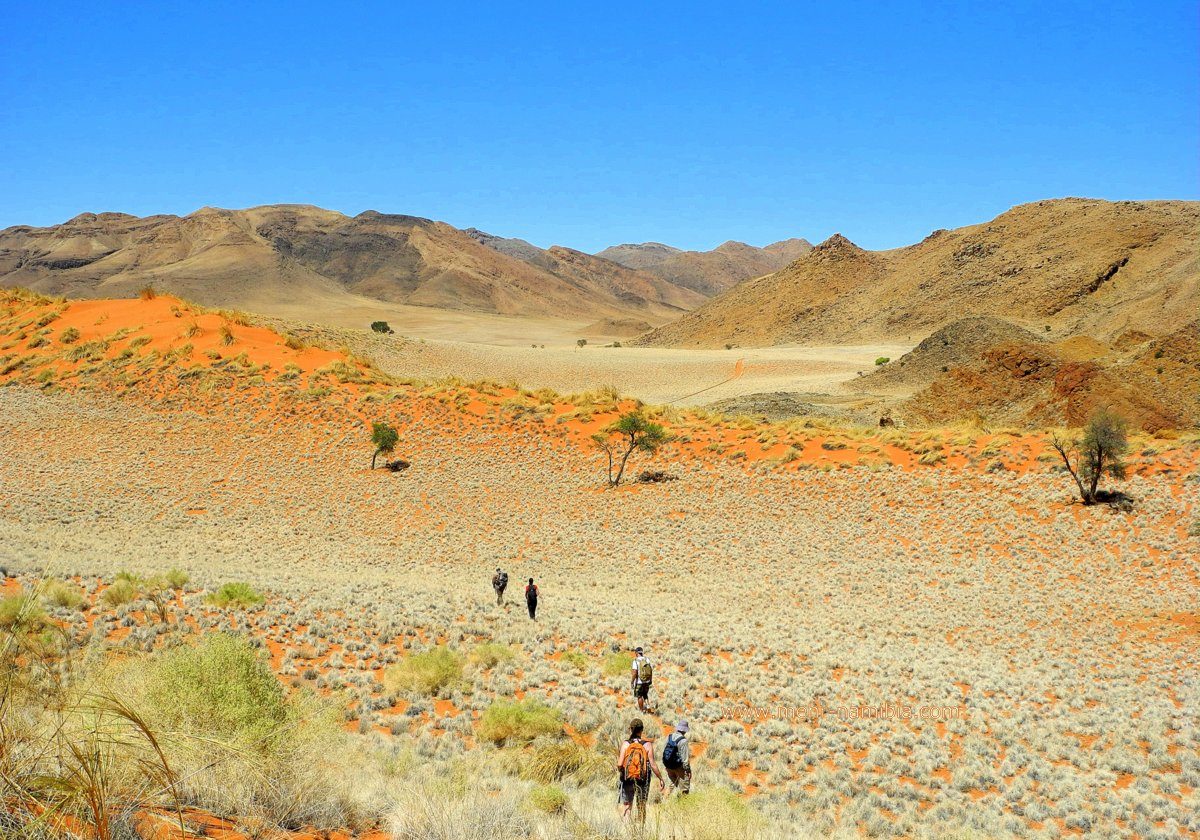 Wandern in der den Dünen und Bergen der Namib