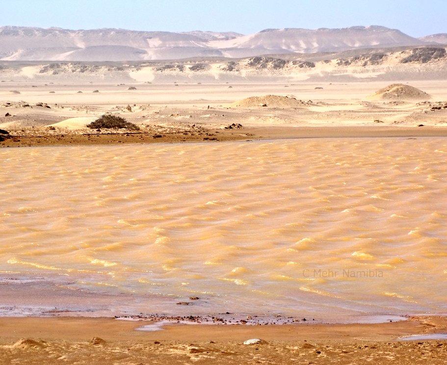 Vergänglicher See an der Skelettküste Wasser mitten in der Namib, Namibia