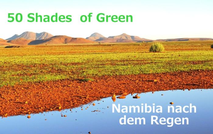 Namibia nach dem Regen