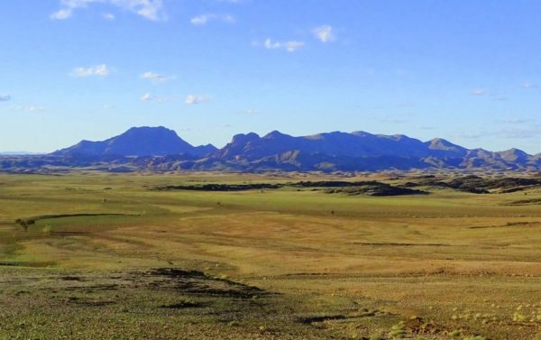 Landschaft in der Namib mit grüner Note