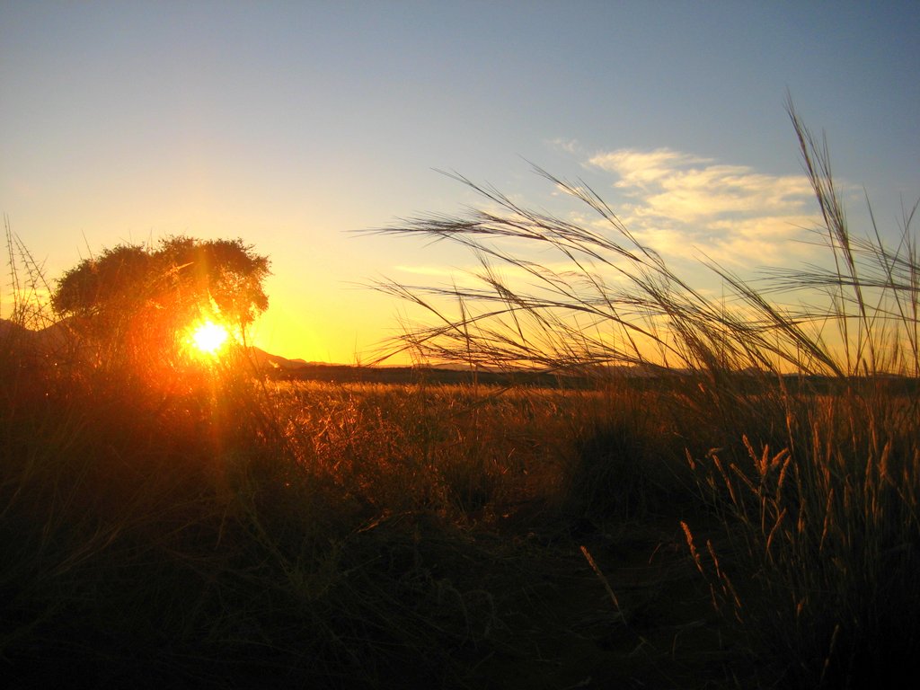 Friedvolle Morgenstimmung im NamibRand Nature Reserve Morgenstimmung in der Namib Wüste