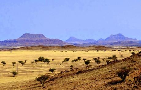 Landschaft im Damaraland Namibia