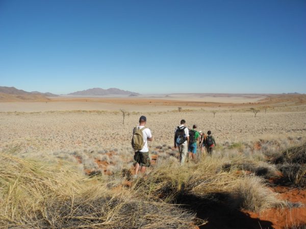 Wandern in den bewachsenen Dünen der Namib