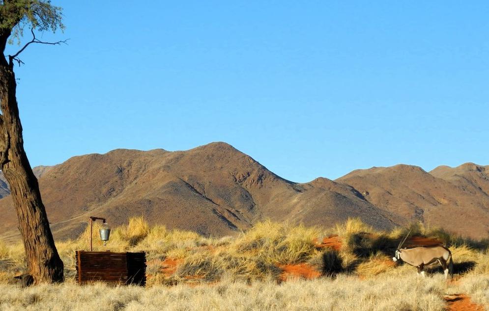 Oryx im Camp - Genusswandern Namibia