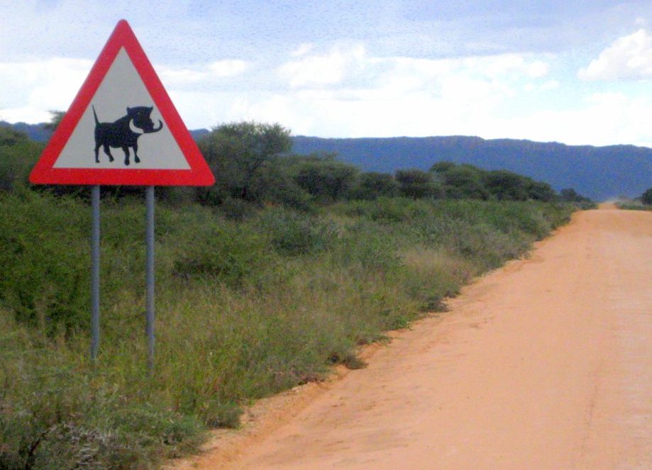 Warzenschwein-Warnschild am Waterberg