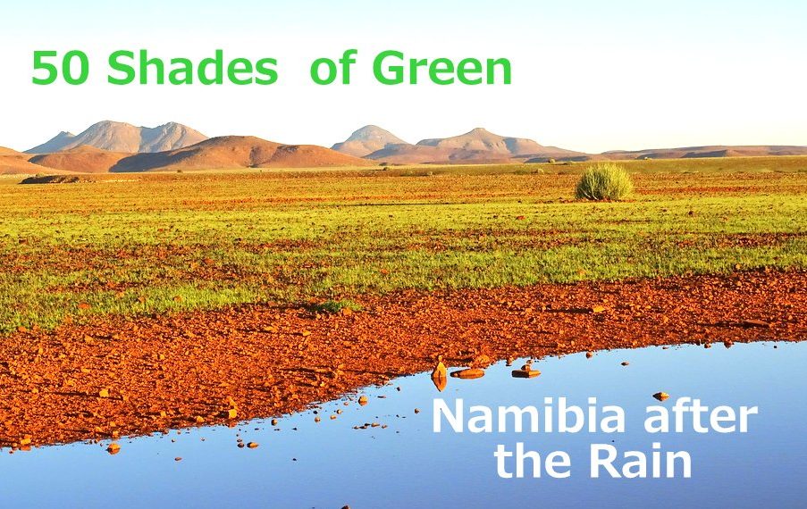 Namibia after the Rain