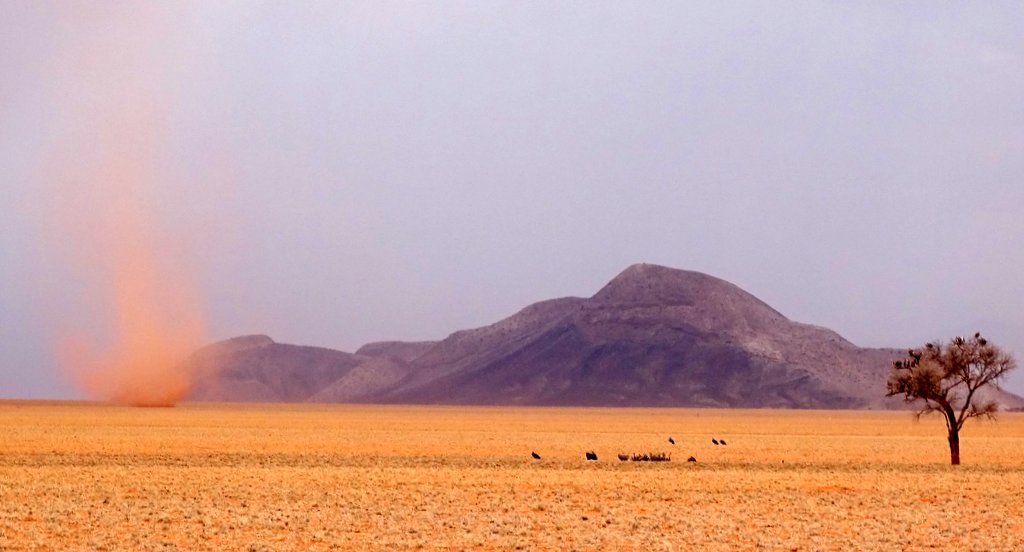 Sandwirbel und Geier am Rande der Namib, Namibia Sandwirbel und Geier am Rande der Namib, Namibia