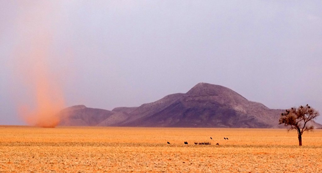 Sandwirbel und Geier am Rande der Namib, Namibia