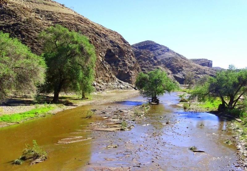 Fliessender Fluss in Namibia – Kuiseb Tiere am Wasserloch im Etosha Nationalpark Namibia
