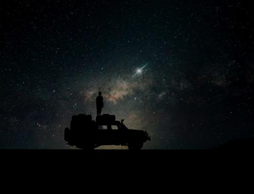 Abenteuer Namibia: Erleben Sie das wilde Namibia unter den Sternen