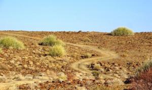 Abenteuer Unbekanntes Damaraland 3