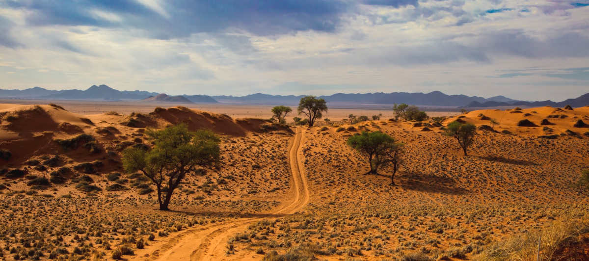 Weg durch das NamibRand Naturreservat Namibia