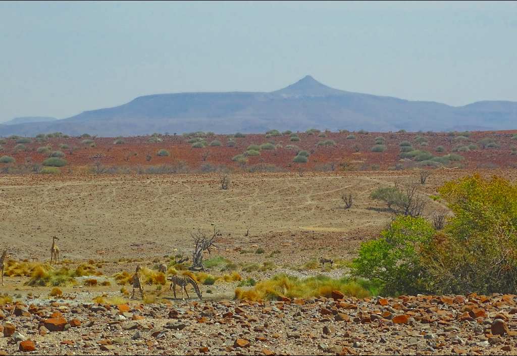 Quelle in der Palmwag Konzession Namibia
