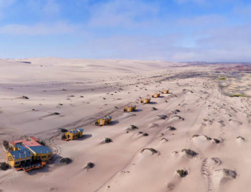 Namibia: Exklusive Safari im Hoanib-Tal und der Skelettküste