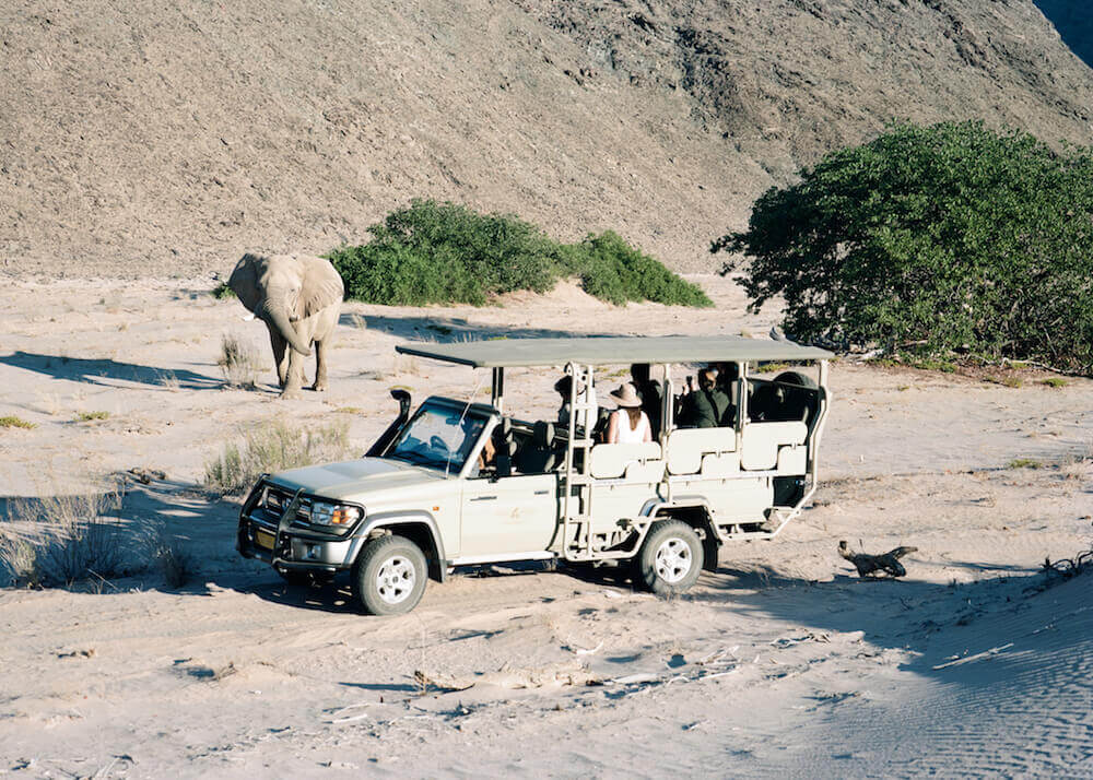 Wüstenelefant auf Pirschfahrt im Hoanibtal Namibia C) Natural Selection Travel