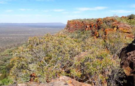 Aussicht vom Waterberg