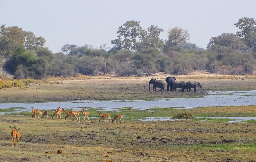 Wildtiere im Mahangu Park