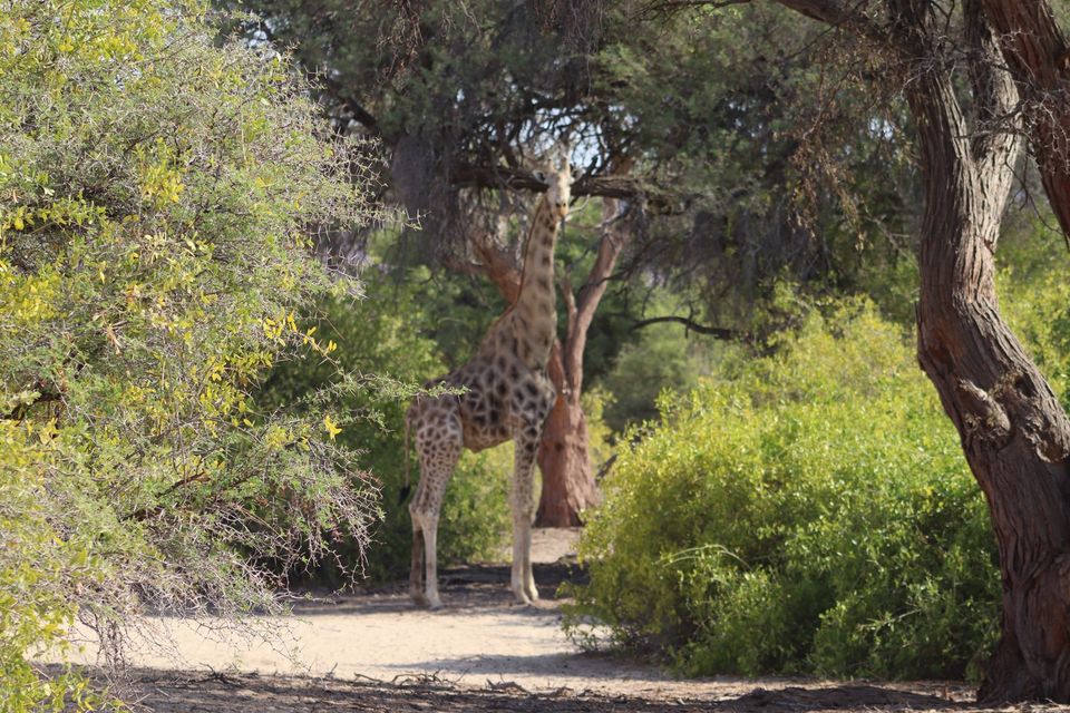 Purros Campsite Purros Campsite