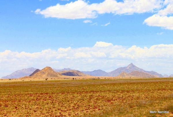 Grasflächen in der Namib