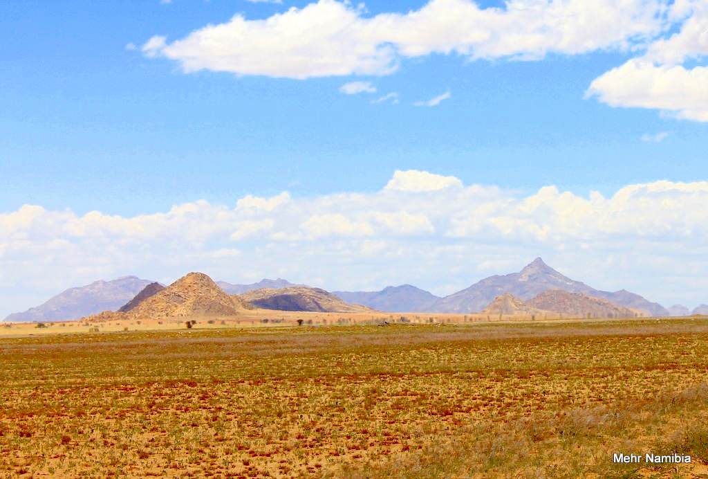 Grasflächen in der Namib