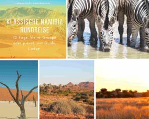 Namibia Rundreise mit Abenteuer Palmwag Konzession