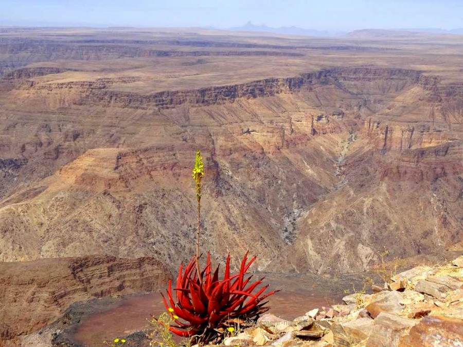 Fish River Canyon in Namibia mit Aloe