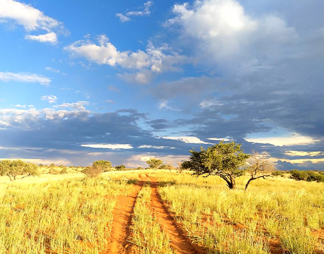 Farben der Kalahari Farben der Kalahari