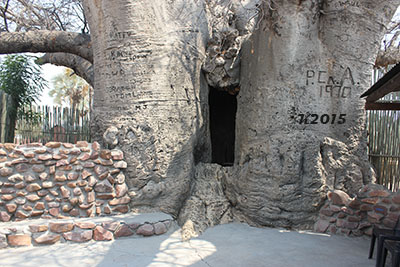 Baobab in Outapi C) Outapi Town Hotel 