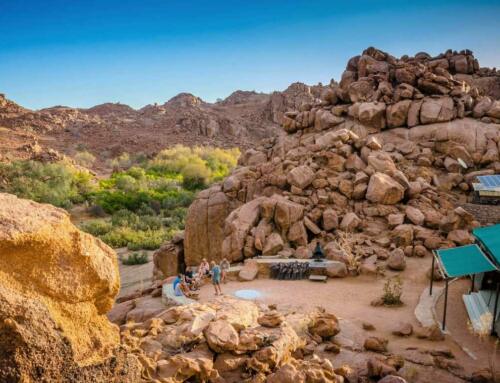Namibias Wüstenelefanten erleben: mit Experten auf Tour (2 Nächte)
